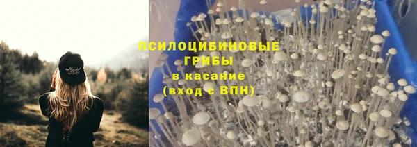 стаф Иннополис