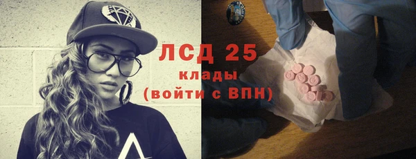 тгк Инсар
