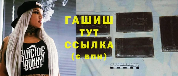 тгк Инсар