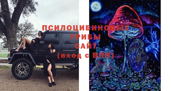 стаф Иннополис