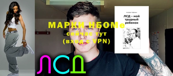 стаф Иннополис