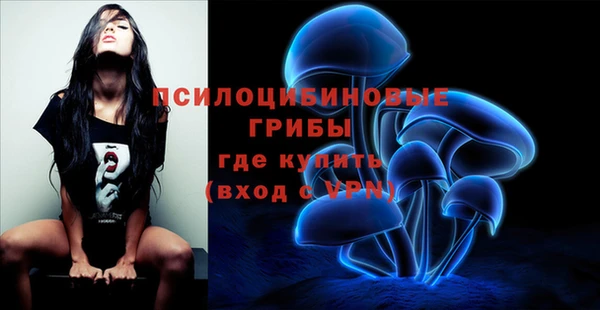 стаф Иннополис