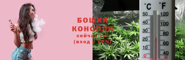 тгк Инсар