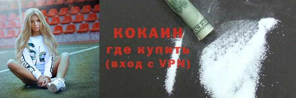 трава Инта