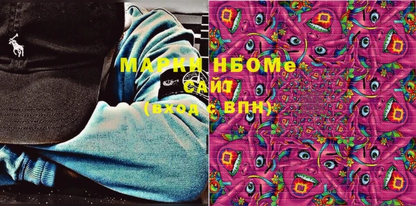 тгк Инсар