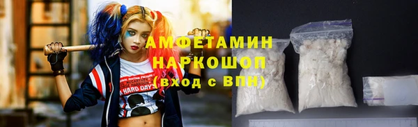 тгк Инсар