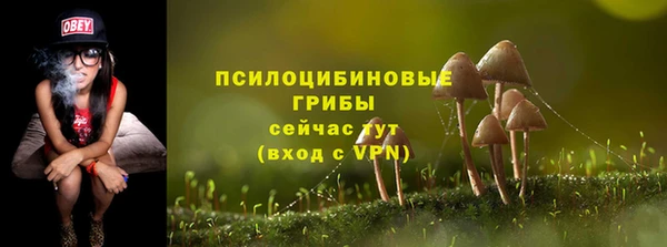 трава Инта