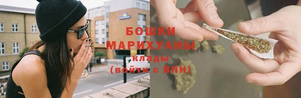 трава Инта