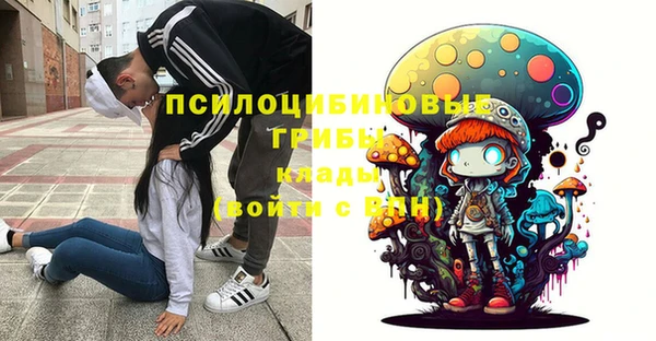 тгк Инсар