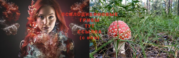 трава Инта