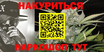 Альфа ПВП Можайск