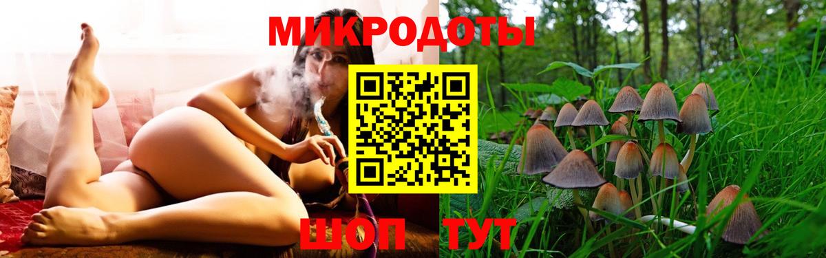 Псилоцибиновые грибы Psilocybine cubensis Ханты-Мансийск